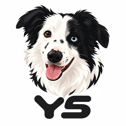 Logo original de Y5, Border Collie bicolor